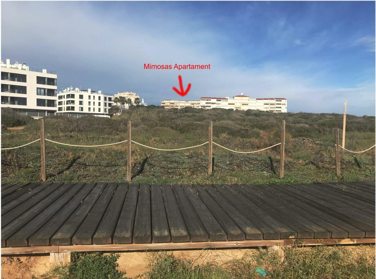 Mimosa Apartment 瓜尔达马尔·德尔·塞古拉 外观 照片